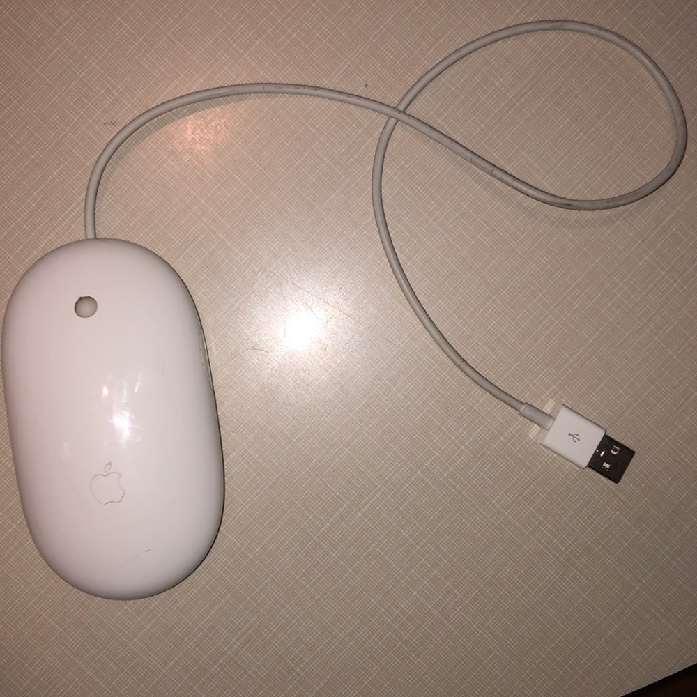 Apple mouse